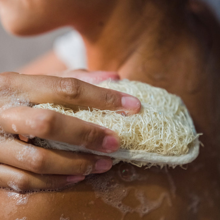 Mango Butter Sugar Scrubs